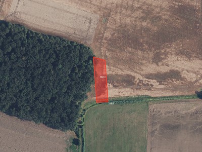 Prodej  pole 22 782 m² — photo 2