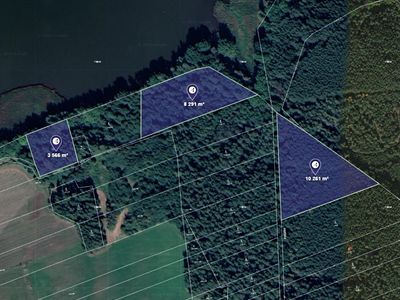 Prodej lesa 22118 m²