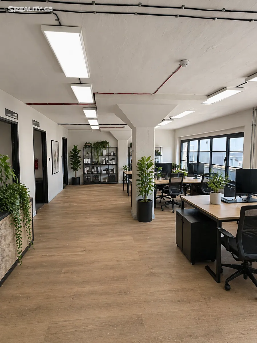 Pronájem kanceláře 196 m² - Widok 5