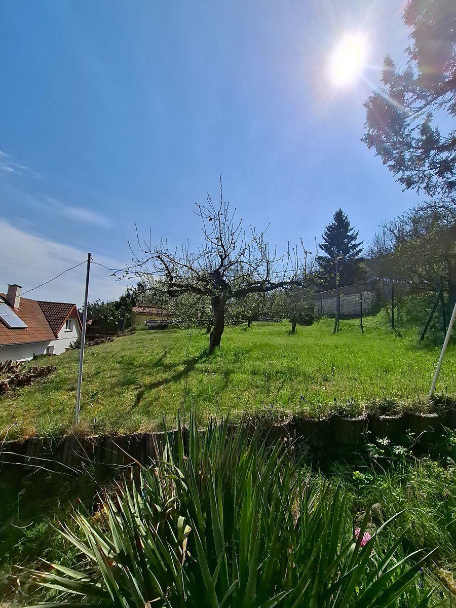 Prodej rodinného domu 257 m², pozemek 2186 m² – fotografie 4