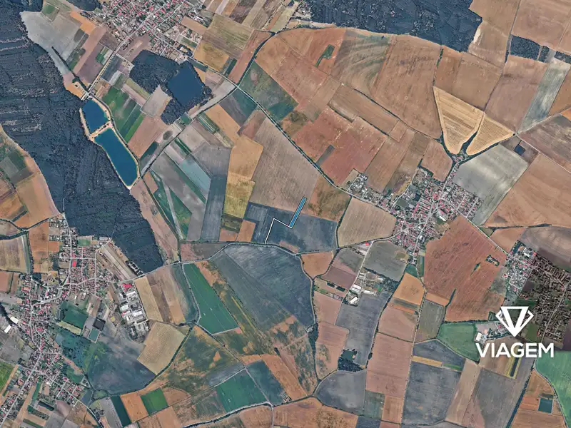Prodej pole 5925 m², Sudovo Hlavno – náhled fotky 3
