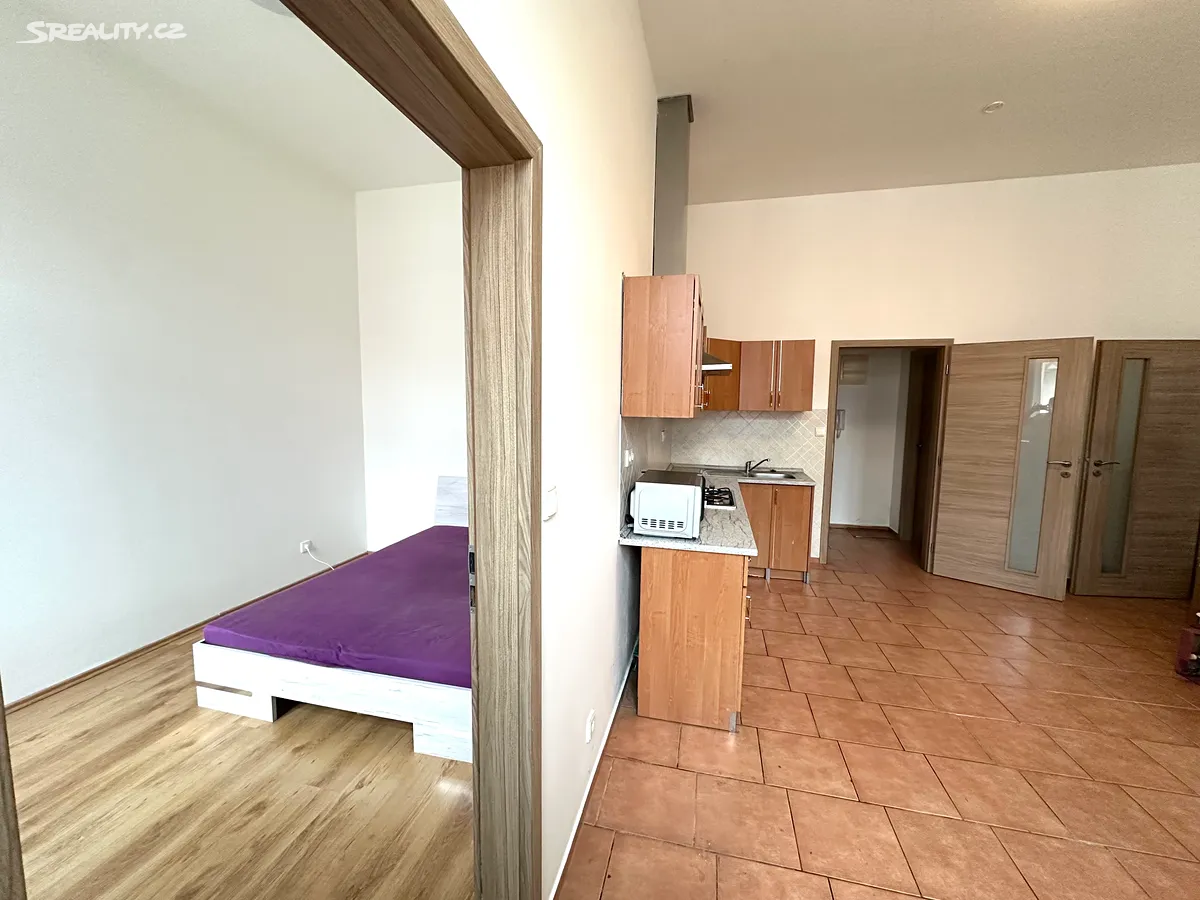 Pronájem bytu 2+1 67 m² - Widok 3
