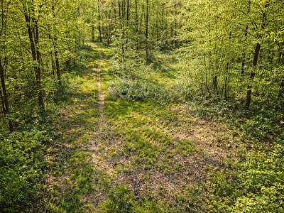 Prodej pozemku, 14 554 m² (3 z 3)