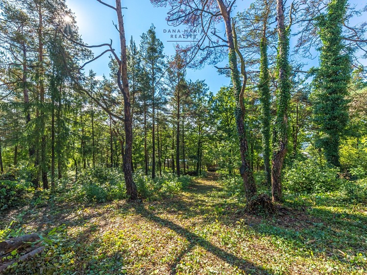 Ділянка на продаж, 3 248 м² (5 з 22)