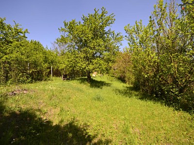 Prodej  zahrady 705 m²