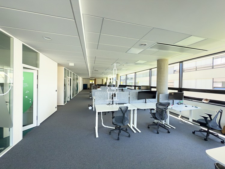 Pronájem komerčního prostoru, 1 979 m² (5 z 6)