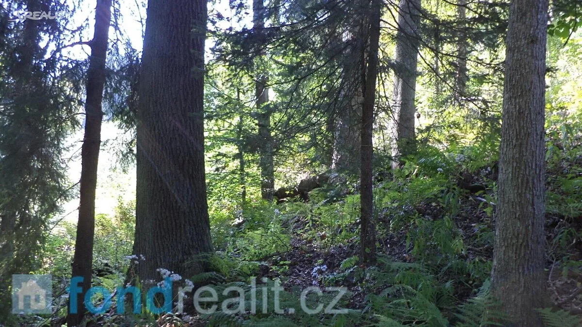 Prodej pole 14721 m² – pohled 3