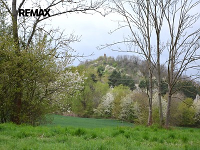 Prodej  louky 744 m²