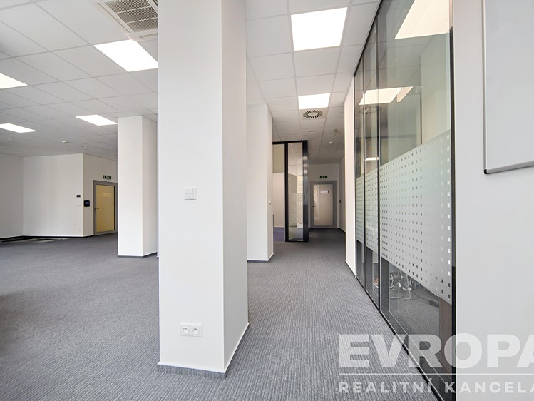 Pronájem komerčního prostoru, 272 m² (6 z 20)