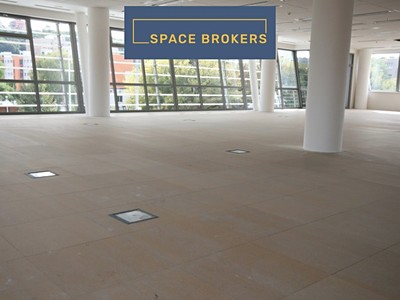 Gewerbefläche zur Miete, 1.000 m² (2 von 11)