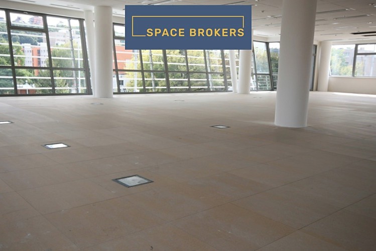 Gewerbefläche zur Miete, 1.000 m² (2 von 11)