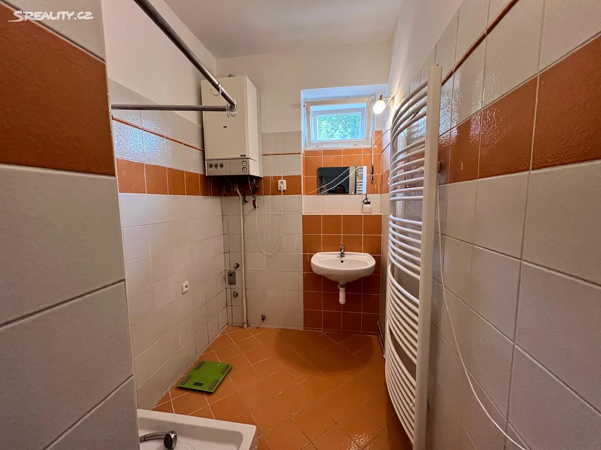 Pronájem bytu 1+1 48 m² – pohled 6