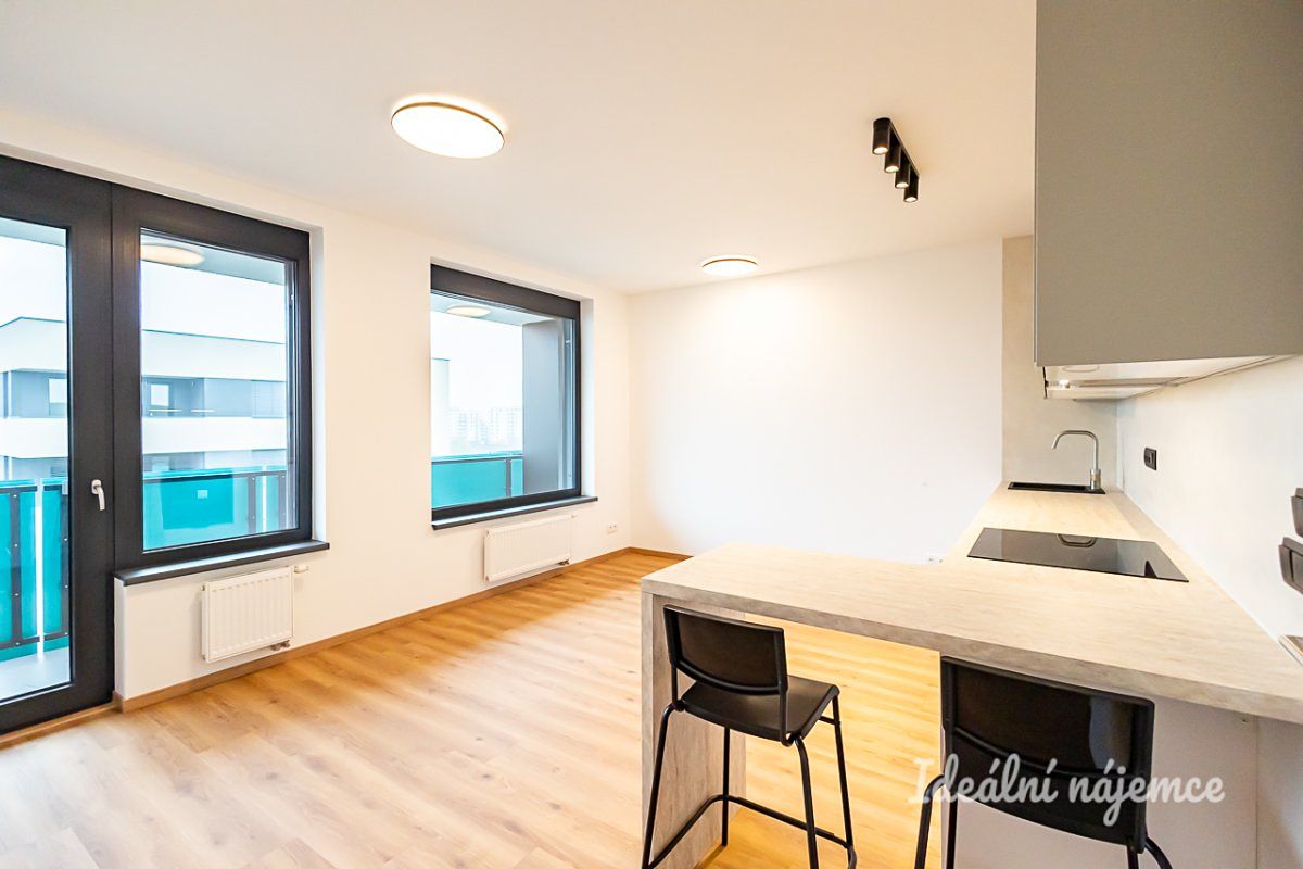 Pronájem bytu 1+kk 32 m²