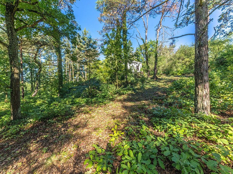 Ділянка на продаж, 3 248 м² (6 з 22)