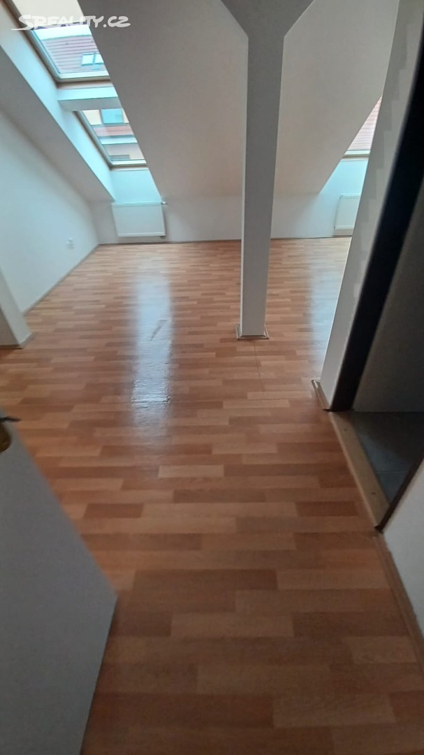 Pronájem bytu 2+kk 57 m² (Jednopodlažní) – další