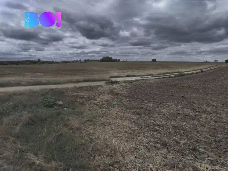 Prodej pole 35000 m², Vranovice – náhled fotky 2