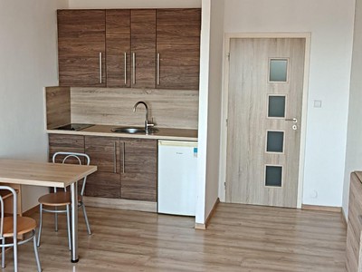 Pronájem bytu 1+kk 30 m²