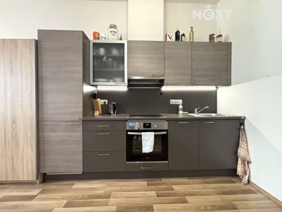 Pronájem bytu 1+kk 45 m²