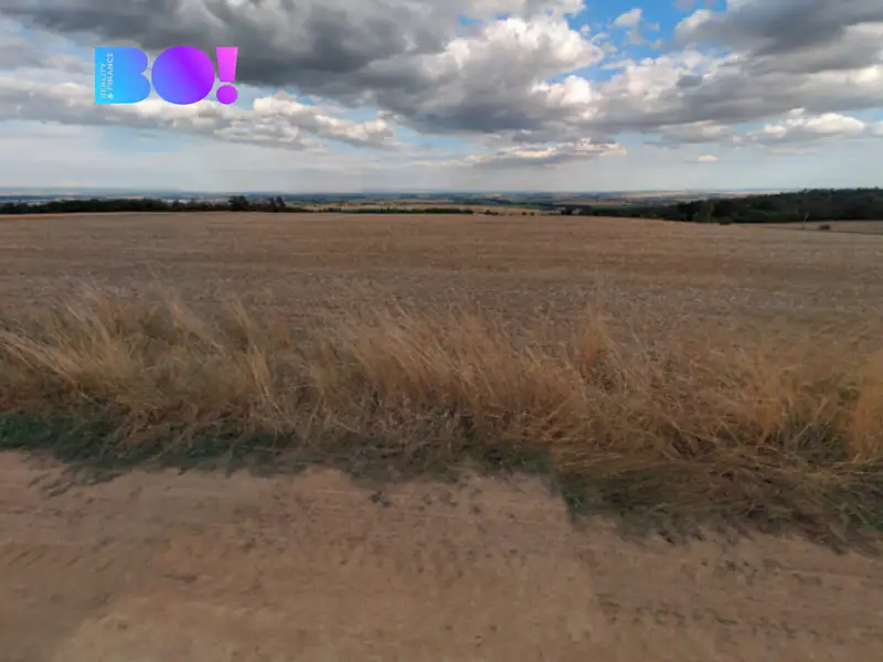 Prodej pole 29929 m², Prostějov – náhled fotky 3