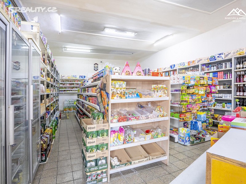 Prodej činžovního domu 580 m² – pohled 4
