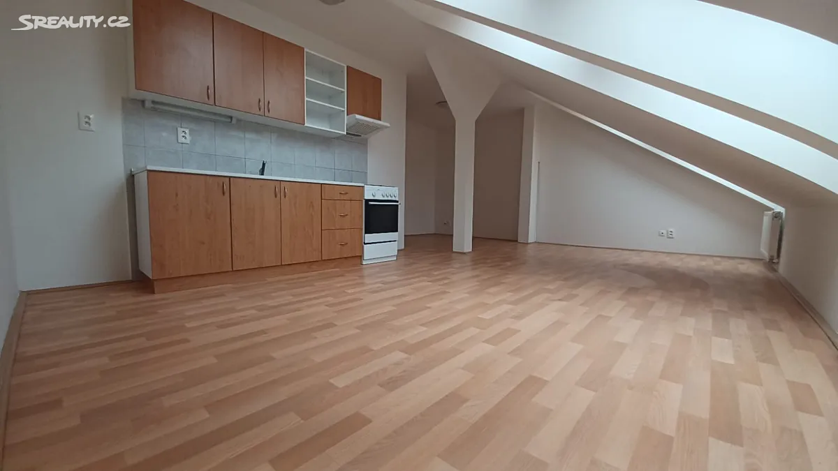 Pronájem bytu 2+kk 57 m², Plzeň