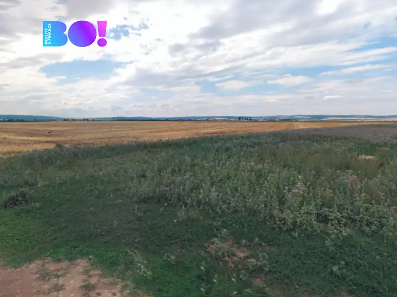 Prodej pole 7577 m², Senice na Hané – náhled fotky 3