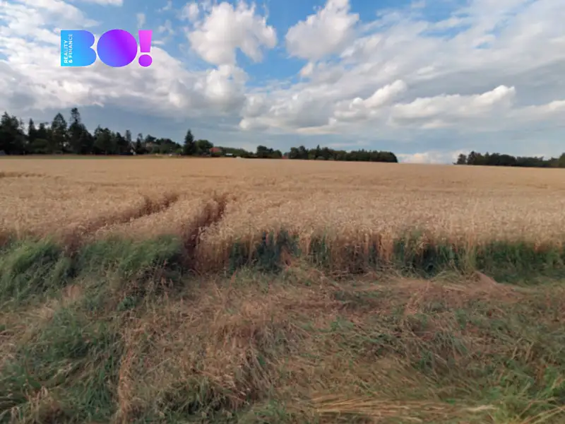 Prodej pole 29929 m², Prostějov – náhled fotky 2