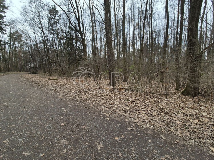 Pronájem pozemku, 2 000 m² (20 z 29)