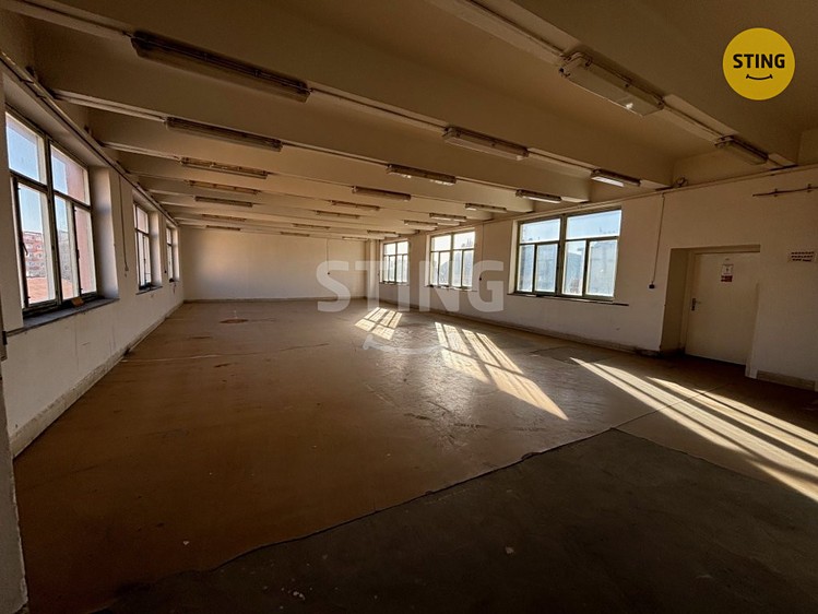 Pronájem komerčního prostoru, 566 m² (5 z 13)