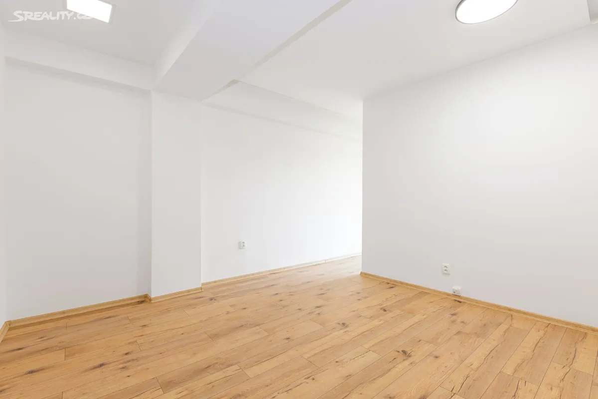 Pronájem bytu 2+1 53 m² – pohled 4