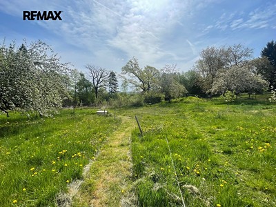 Pronájem  zahrady 1 501 m²