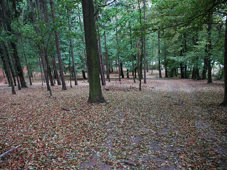 Prodej pozemku, 982 m² (18 z 21)
