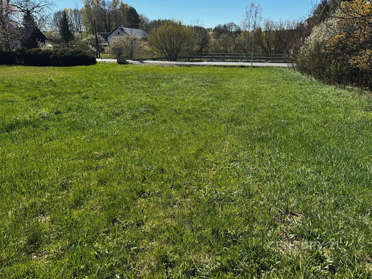 Prodej stavebního pozemku 2626 m² – fotografie 3