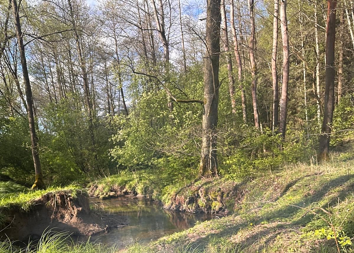 Prodej pozemku 11576 m² – fotografie 3
