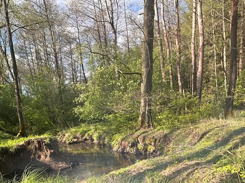 Prodej pozemku 11576 m², Kynšperk nad Ohří – náhled fotky 3