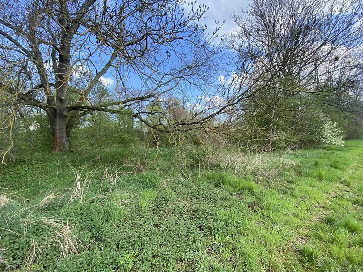 Grundstück zum Kauf, 621 m² (1 von 10)