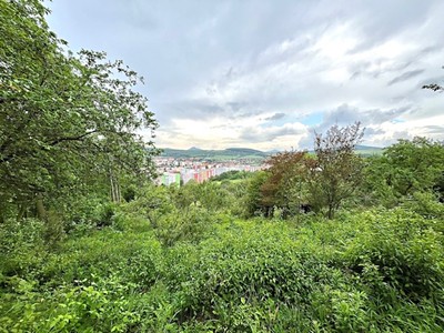 Prodej  zahrady 894 m²