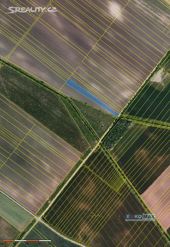 Prodej pole 4600 m² – pohled 3