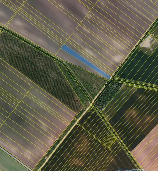 Prodej pole 4600 m², Velké Bílovice – náhled fotky 3