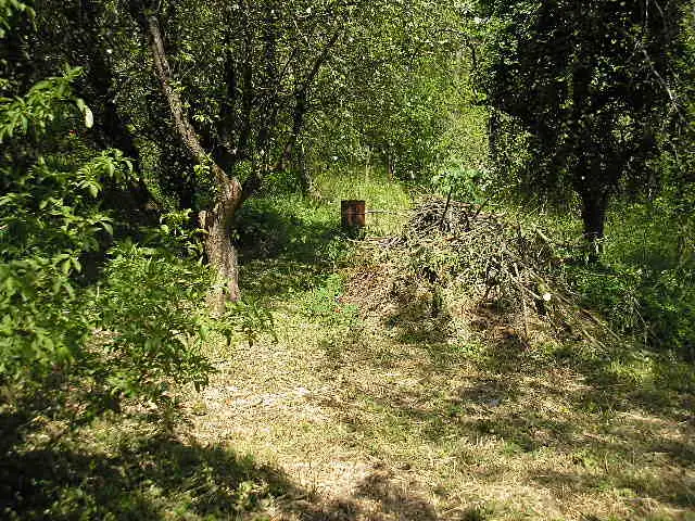 Prodej rodinného domu 85 m², pozemek 929 m², Prachovice – náhled fotky 3