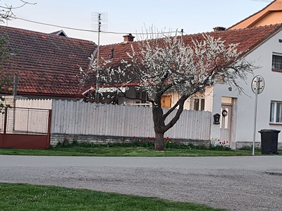 Prodej  rodinného domu 157 m², pozemek 549 m² — photo 2