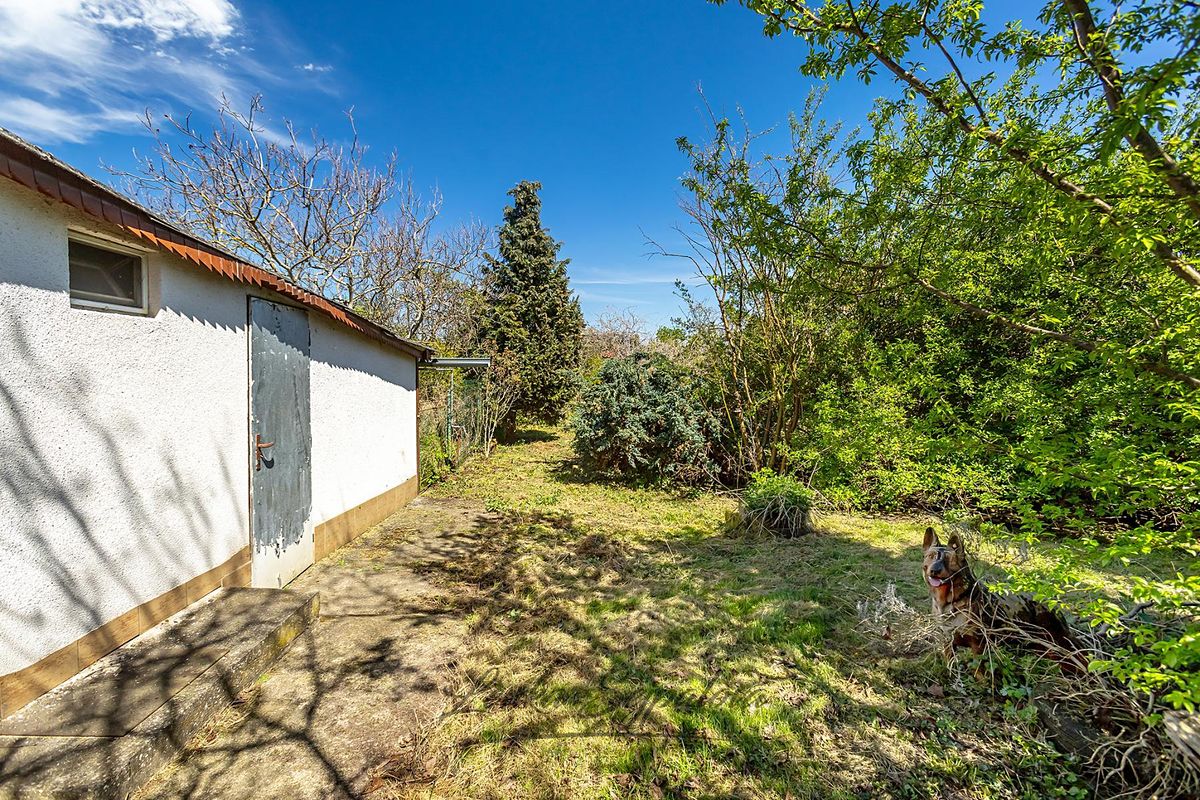 Prodej rodinného domu 95 m², pozemek 1633 m² – fotografie 3