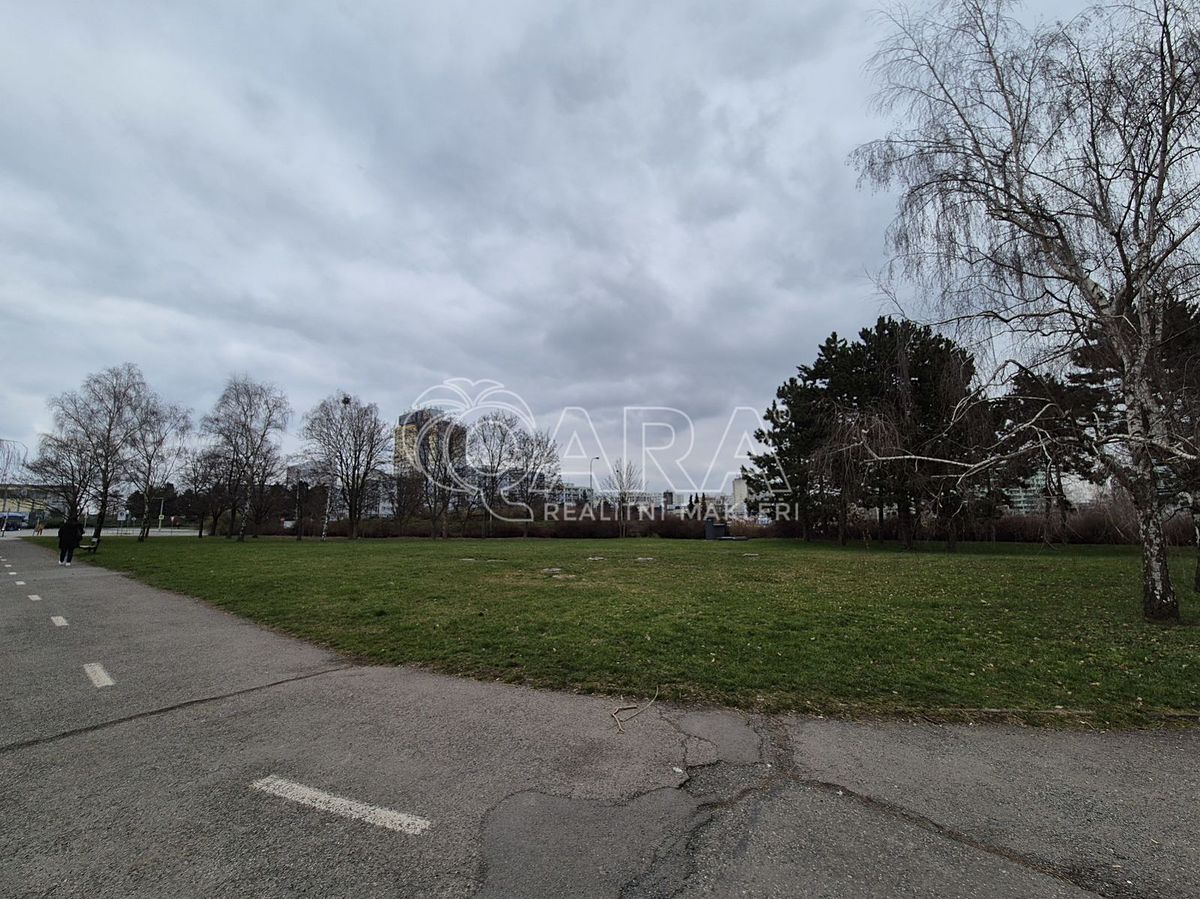 Pronájem komerčního pozemku 2000 m² – fotografie 4
