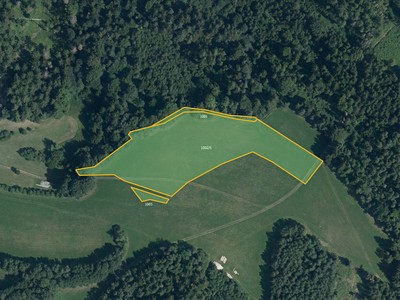 Prodej  louky 18 193 m²