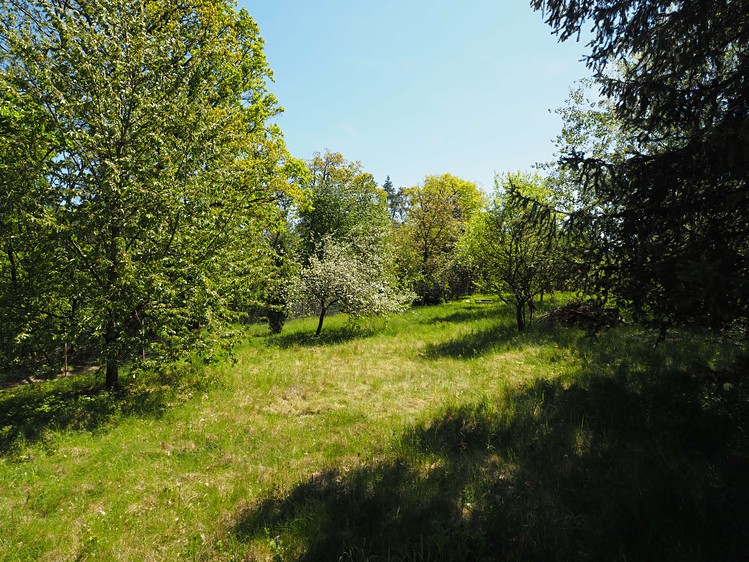 Ostatní