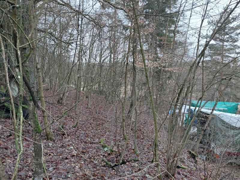 Prodej lesa 278 m², Kožlí – fotka 1 z 3