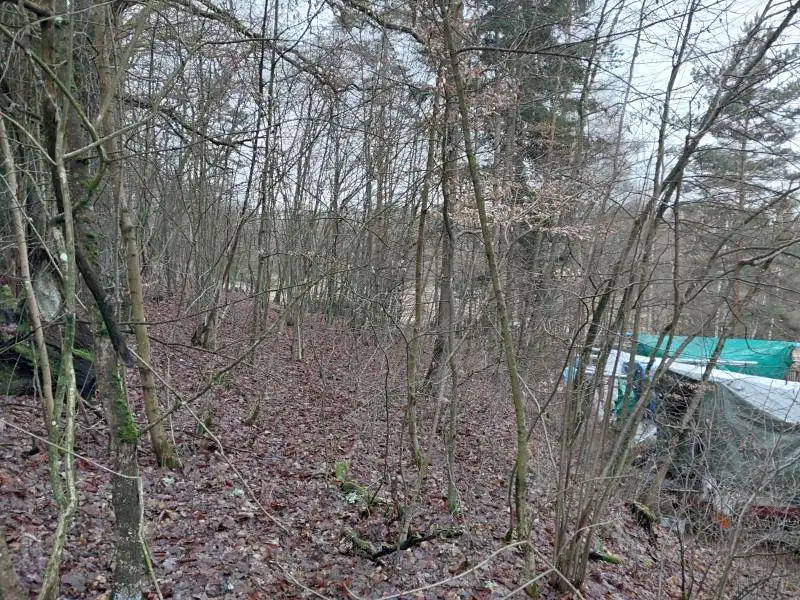 Prodej lesa 278 m², Kožlí – náhled fotky 1