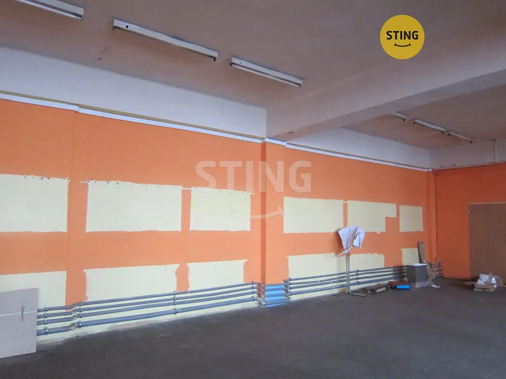 Pronájem skladového prostoru 153 m²