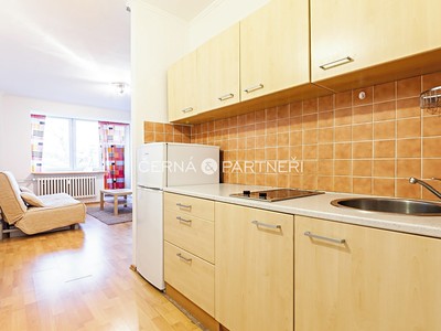 Pronájem bytu 1+kk 36 m²