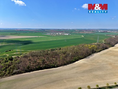 Prodej  lesa 4 629 m² — photo 4